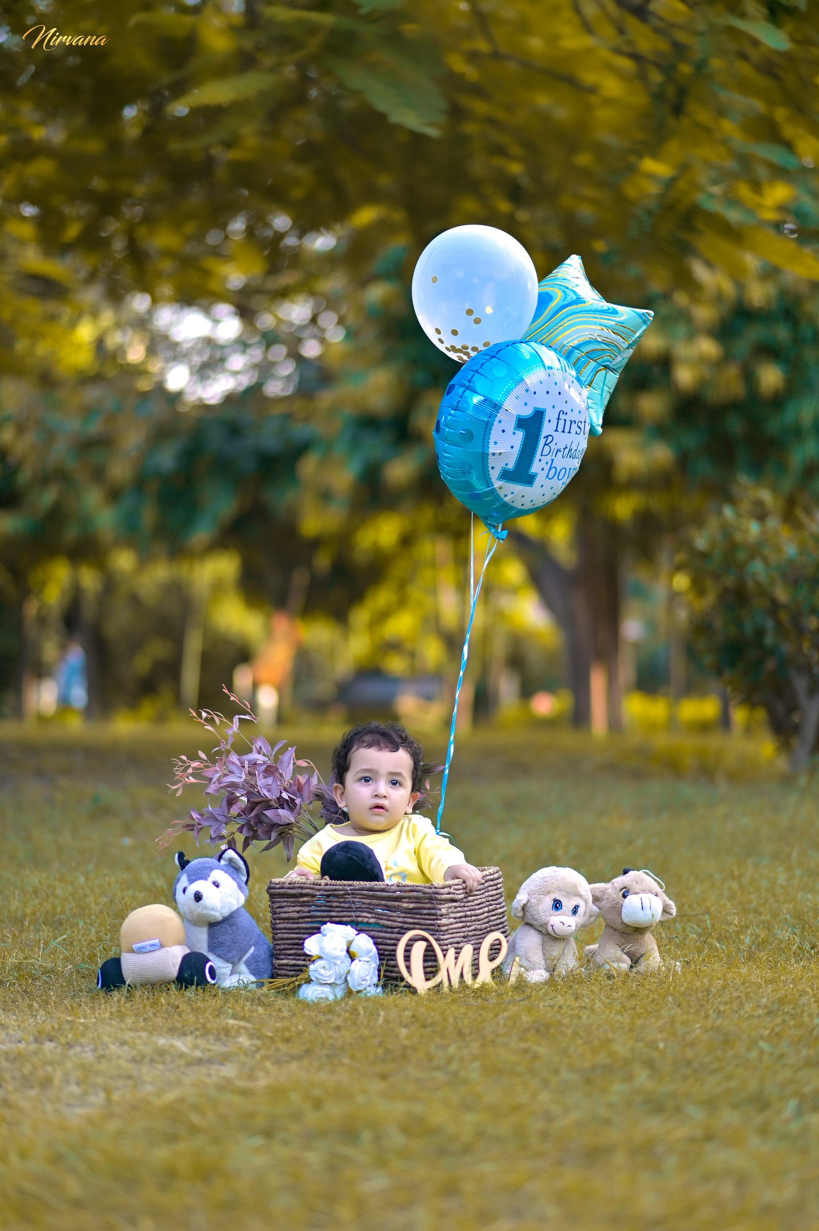 Milestones photography by Nirvana Photography Milestones photography by Nirvana Photography